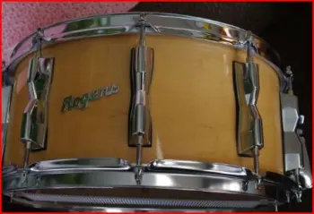 Vintage Rogers???