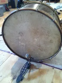 Can anyone tell me what i have?