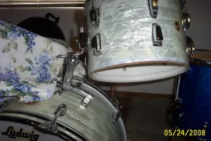 Ludwig's white marine pearl