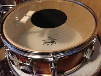 stewart drums