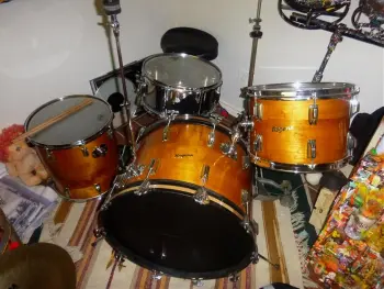 Rogers Drums