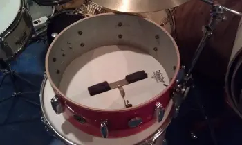 Snare Shell Back From The Dead.