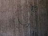 Mysterious cymbal stamp