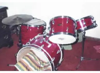 identify 60 Ludwig kit