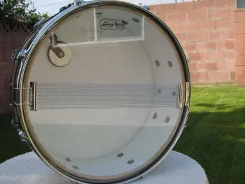 Citrus Mod Pics 1