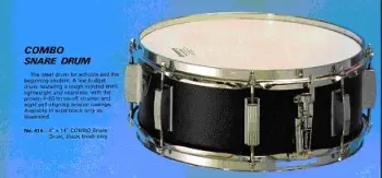 My Ludwig Educators