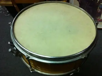 Please help identify snare