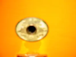 help identifying authenticity of drums