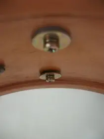 Rogers Dynasonic wood shell - Help (how) to restore