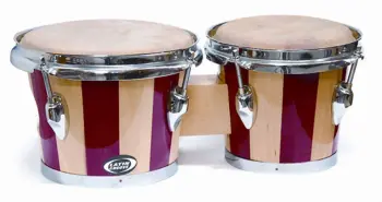 Latin American Percussion