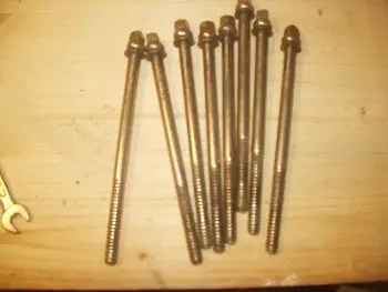 Anybody an idea what Snare this is?