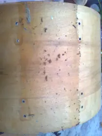 Ludwig restoration &amp; one question