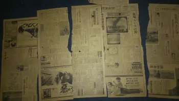 Cool find underneath some MIJ Floor Tom Wrap..............