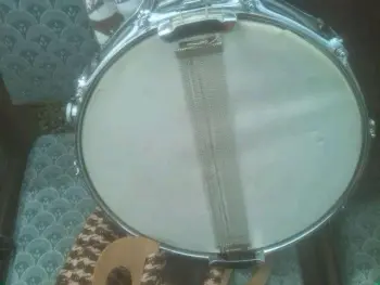 What type of snare is this?