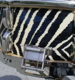 1950-55 LEEDY &amp; LUDWIG 5 x 14 “ZEBRA” BROADWAY STANDARD MODEL