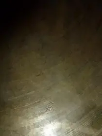 Unknown cymbal, please help