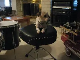 I got my teardrop matching floor tom today. Hee haw!!!