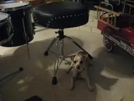 I got my teardrop matching floor tom today. Hee haw!!!