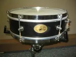 Rogers Classmate Snare?