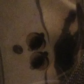 Help replacing rare throwoff/strainer on old Sonor snare