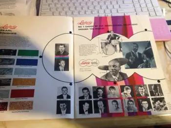 rare 60's ludwig cats