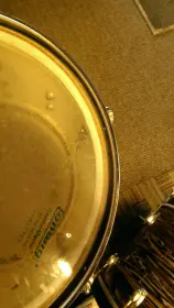 Ludwig standard interior &quot;paint&quot; question.