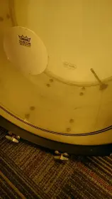 Ludwig standard interior &quot;paint&quot; question.