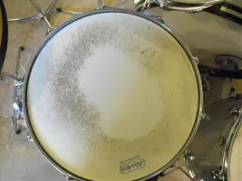 1969-1970 ludwig check this out