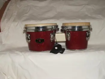 Revelle 60's Bongos . . . maybe.