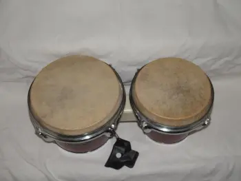 Revelle 60's Bongos . . . maybe.