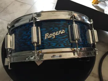 Potential Rogers Purchase