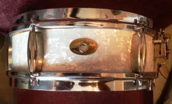 Slingerland questions