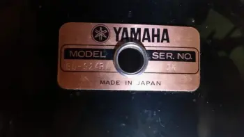 Look what I found!...