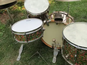 Finished my &quot;Peacock&quot; Slingerland project.