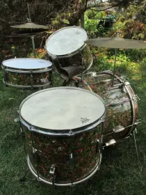 Finished my &quot;Peacock&quot; Slingerland project.