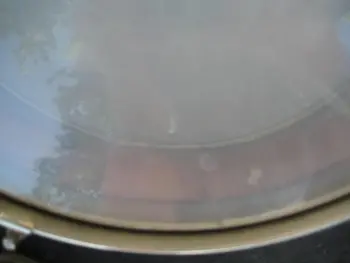 Old Snare Identification Help