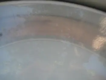Old Snare Identification Help