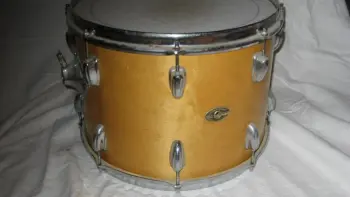 New Slingerland find