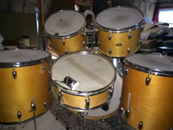 New Slingerland find