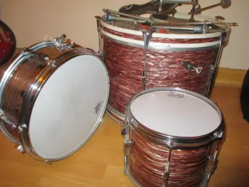 Unusual Oyster Tromsa Set