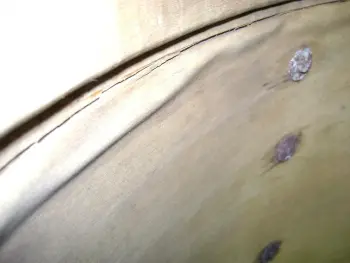 Help Slingy Bass Drum rehab