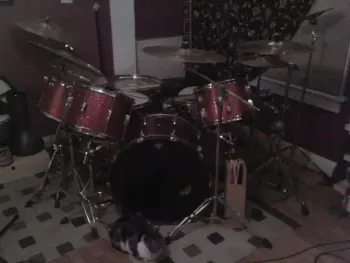 Who Here Uses Snare Stands for Rack Toms?