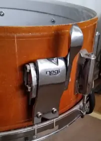 Negi snare