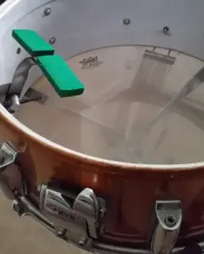 Negi snare