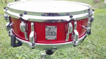 Beautiful Amati kit