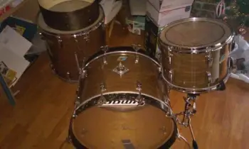 Ludwig Walnut Cortex