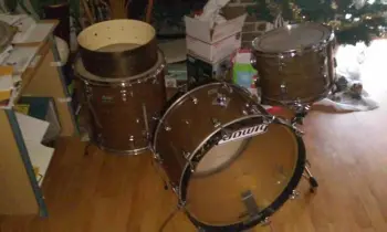 Ludwig Walnut Cortex