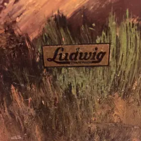 Ludwig and Ludwig 28x12 Bass Drum