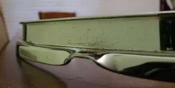 WANTED: Vintage Ludwig 13 Hoop