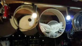 Cheap MIJ Floor Tom